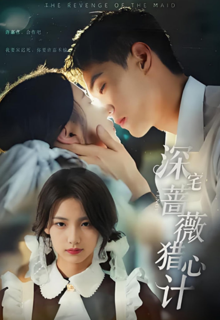 深宅蔷薇猎心计