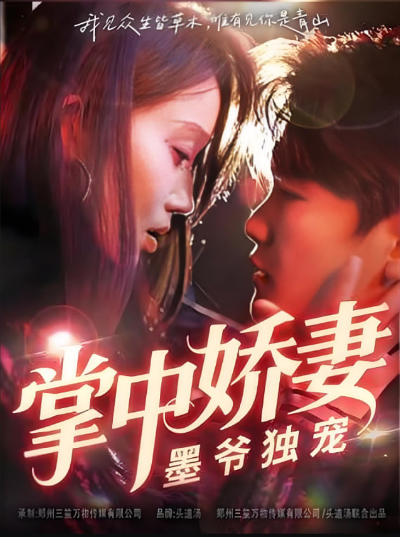 掌中娇妻墨爷独宠