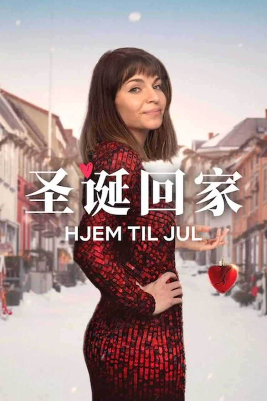 圣诞寻伴 第3季