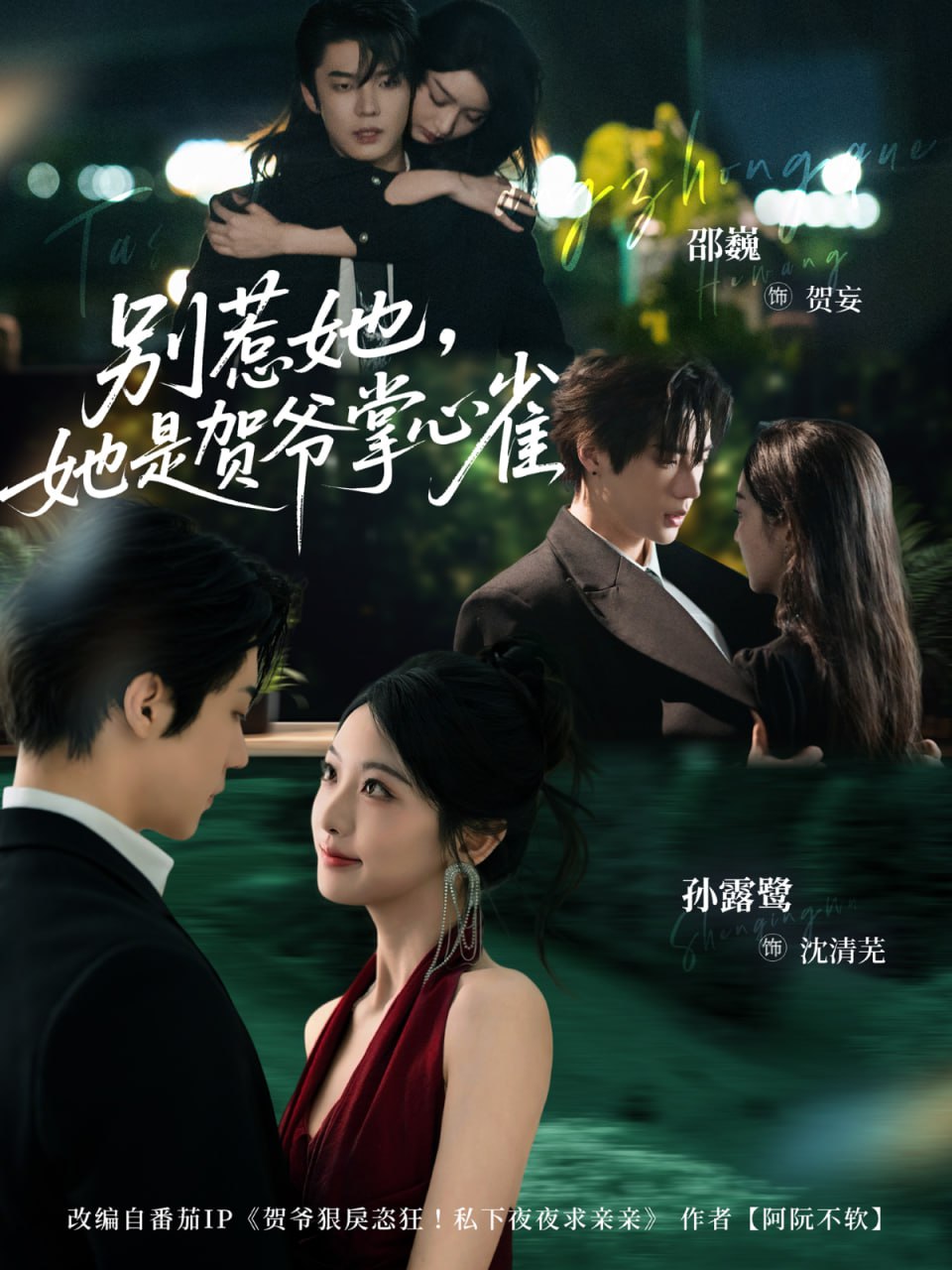 别惹她，她是贺爷掌心雀