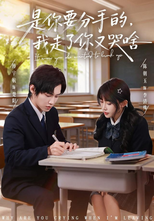 是你要分手的，我走了你又哭啥