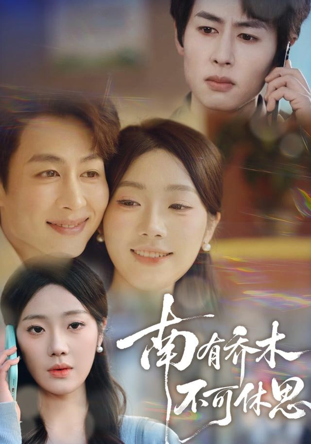 南有乔木，不可休思