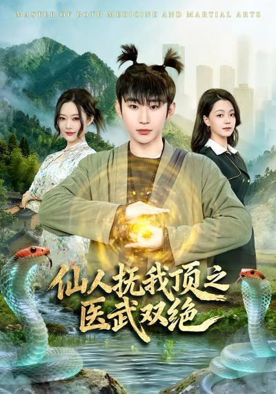 仙人抚我顶之医武双绝